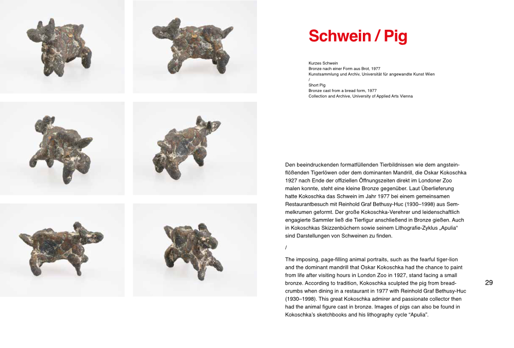 Seitenprobe Katalogteil. Das Schwein in mehreren Ansichten und der Text zum Kapitelm Schwein
